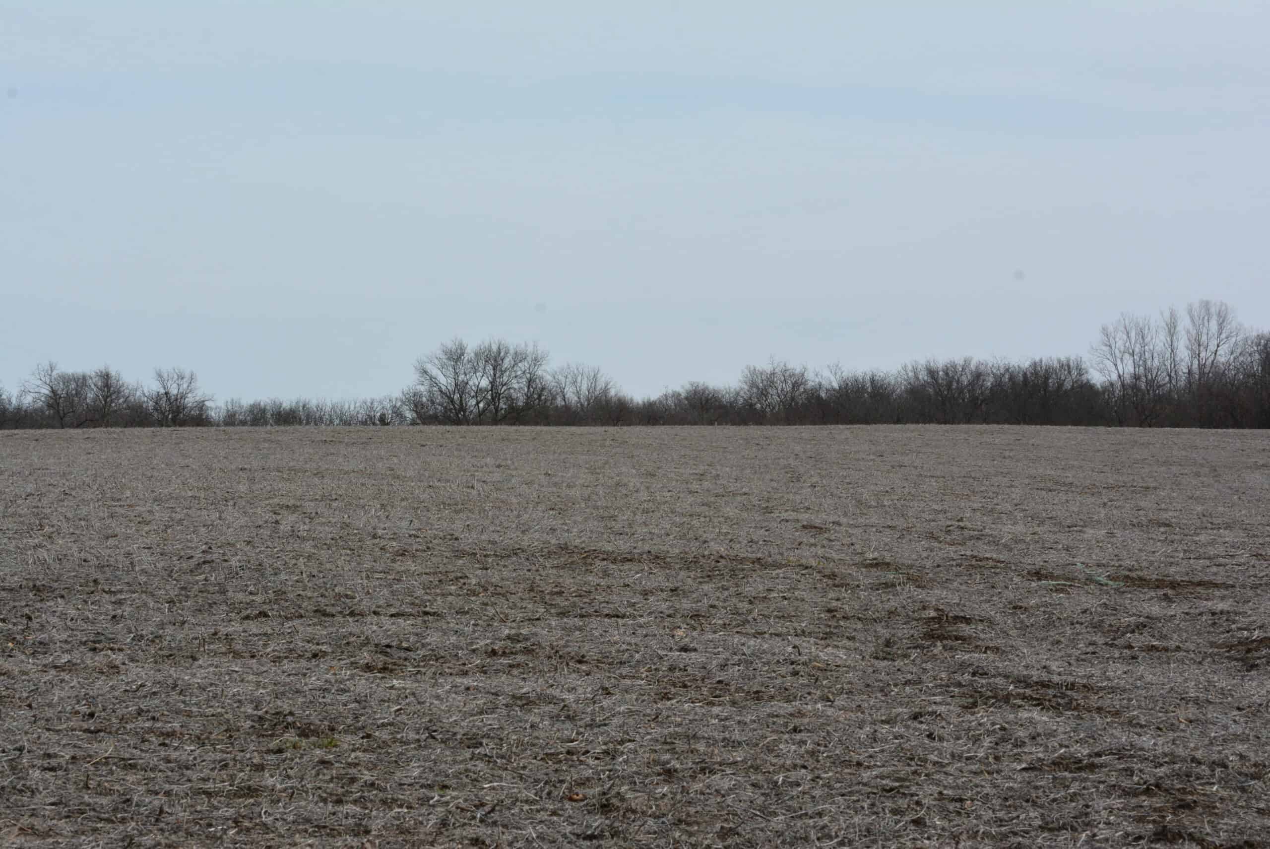 Hunting Land With Income – Mercer County, Missouri