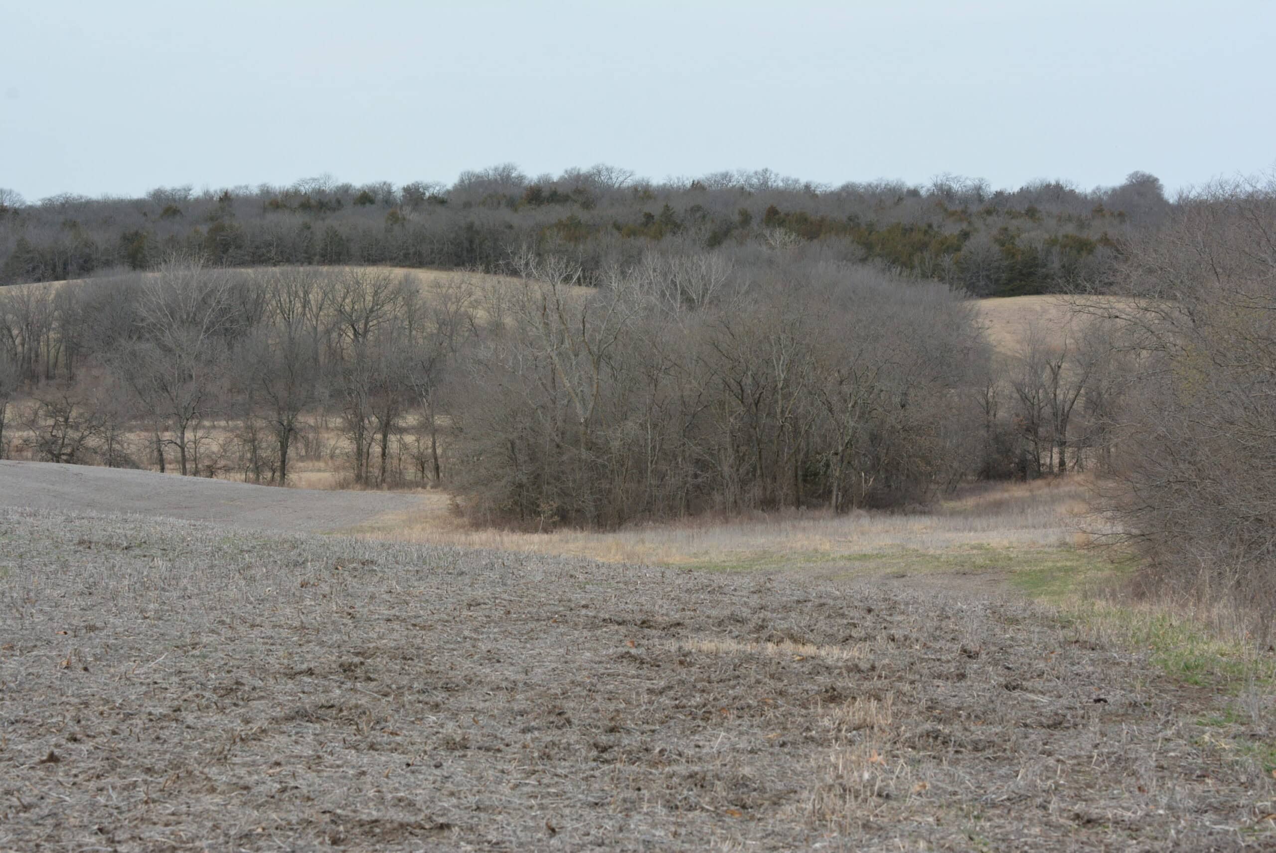 Hunting Land With Income – Mercer County, Missouri