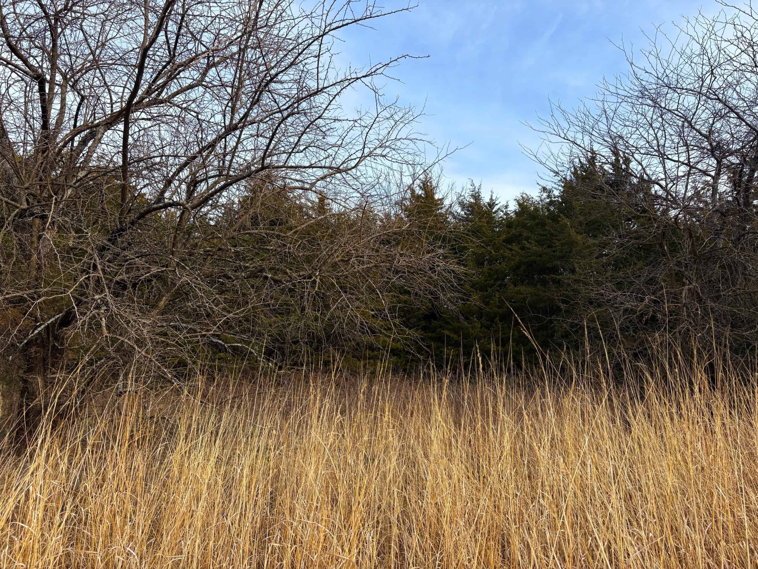 Hunting Land With Income – Mercer County, Missouri
