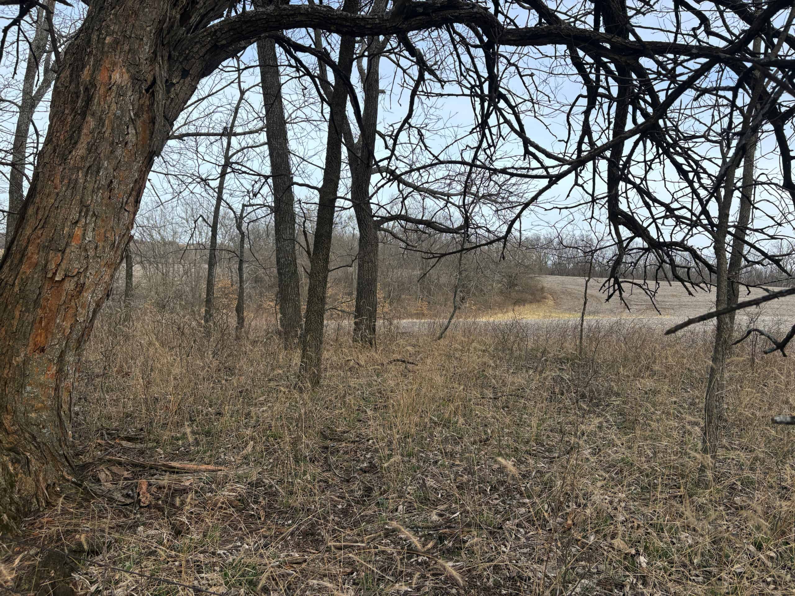 Hunting Land With Income – Mercer County, Missouri
