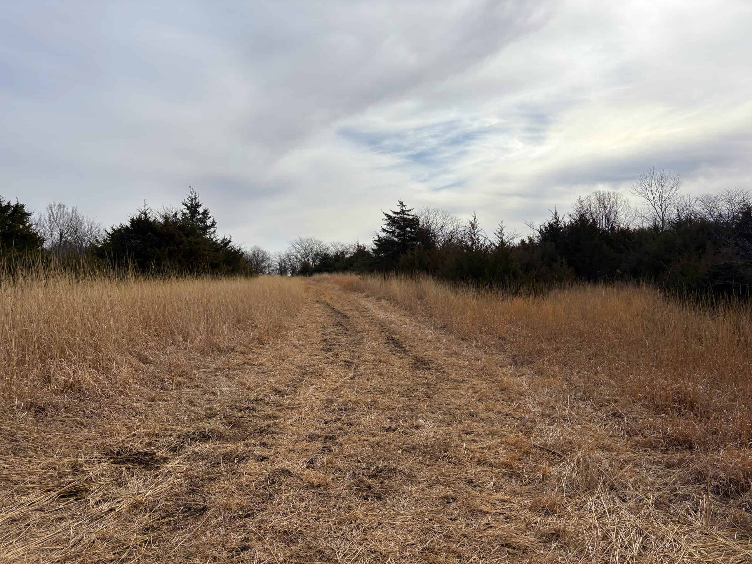 Hunting Land With Income – Mercer County, Missouri