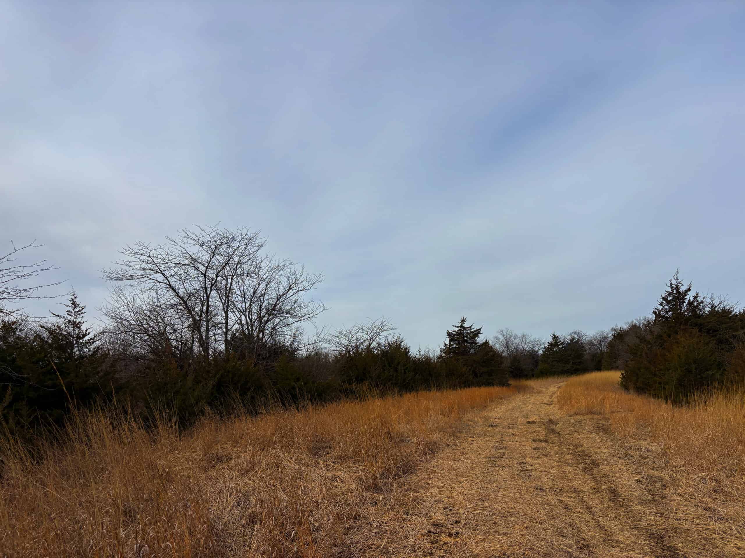 Hunting Land With Income – Mercer County, Missouri