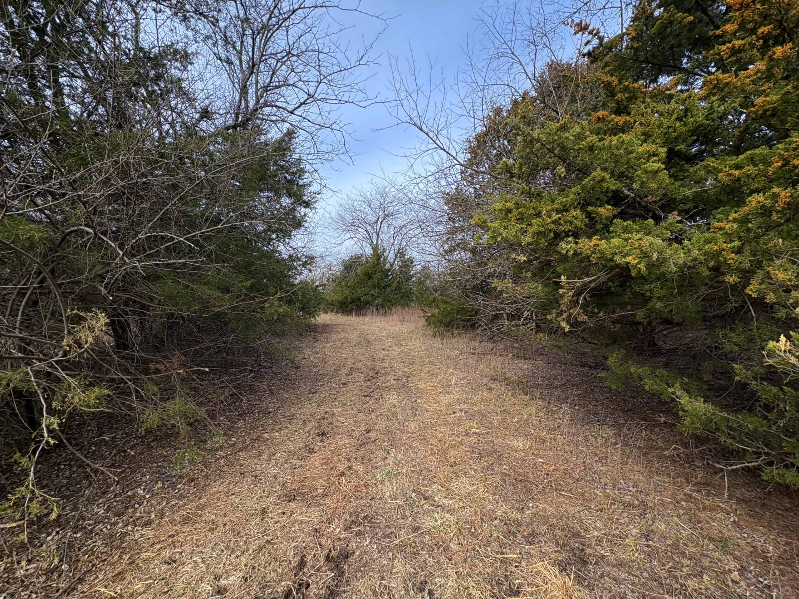 Hunting Land With Income – Mercer County, Missouri