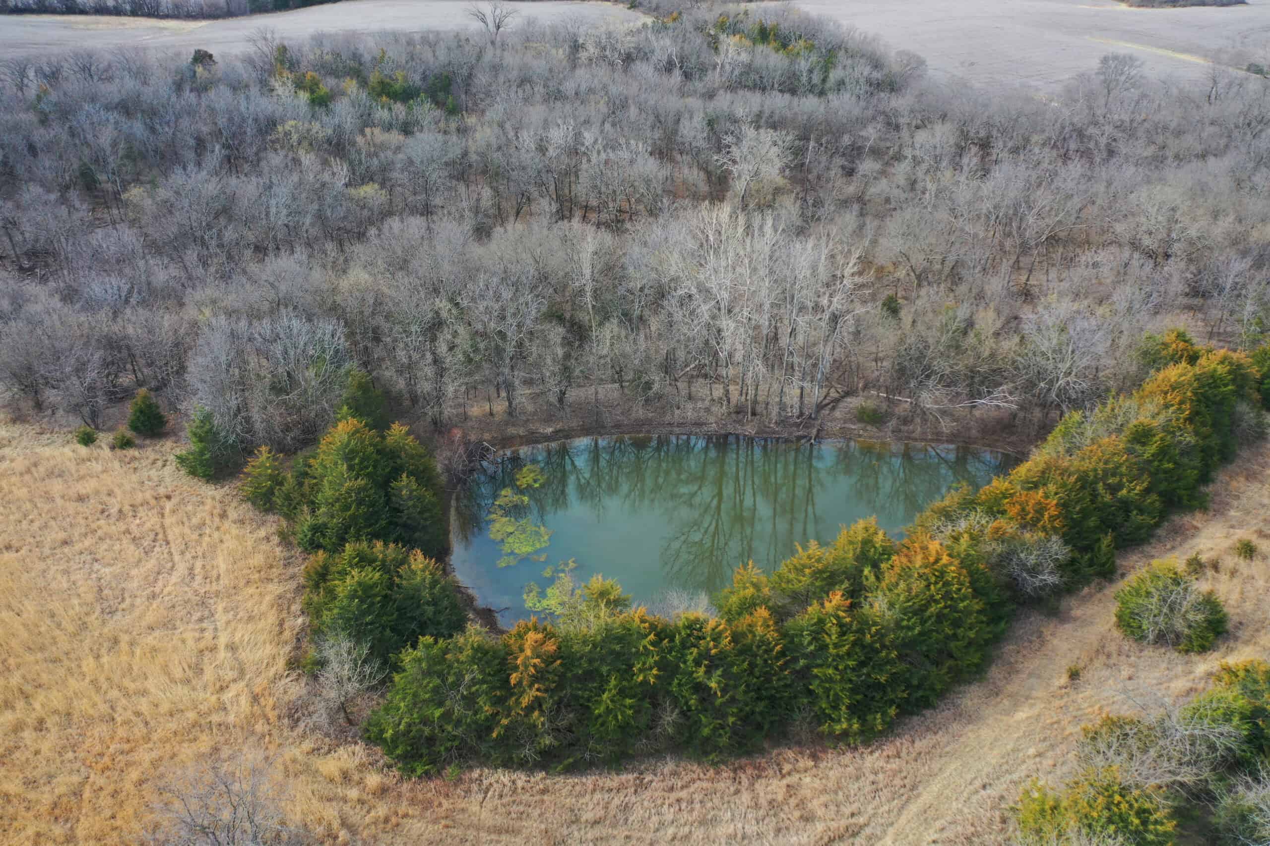 Hunting Land With Income – Mercer County, Missouri
