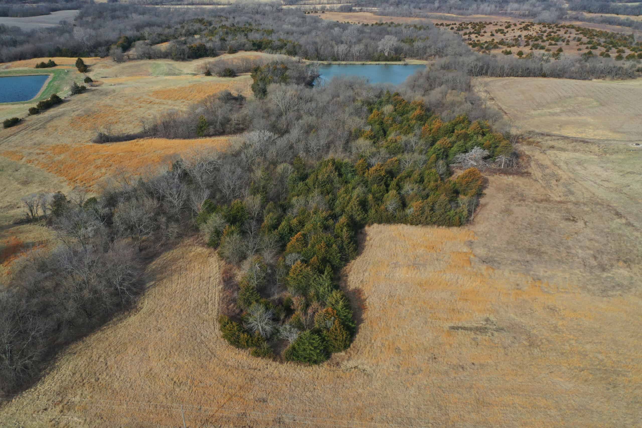 Hunting Land With Income – Mercer County, Missouri