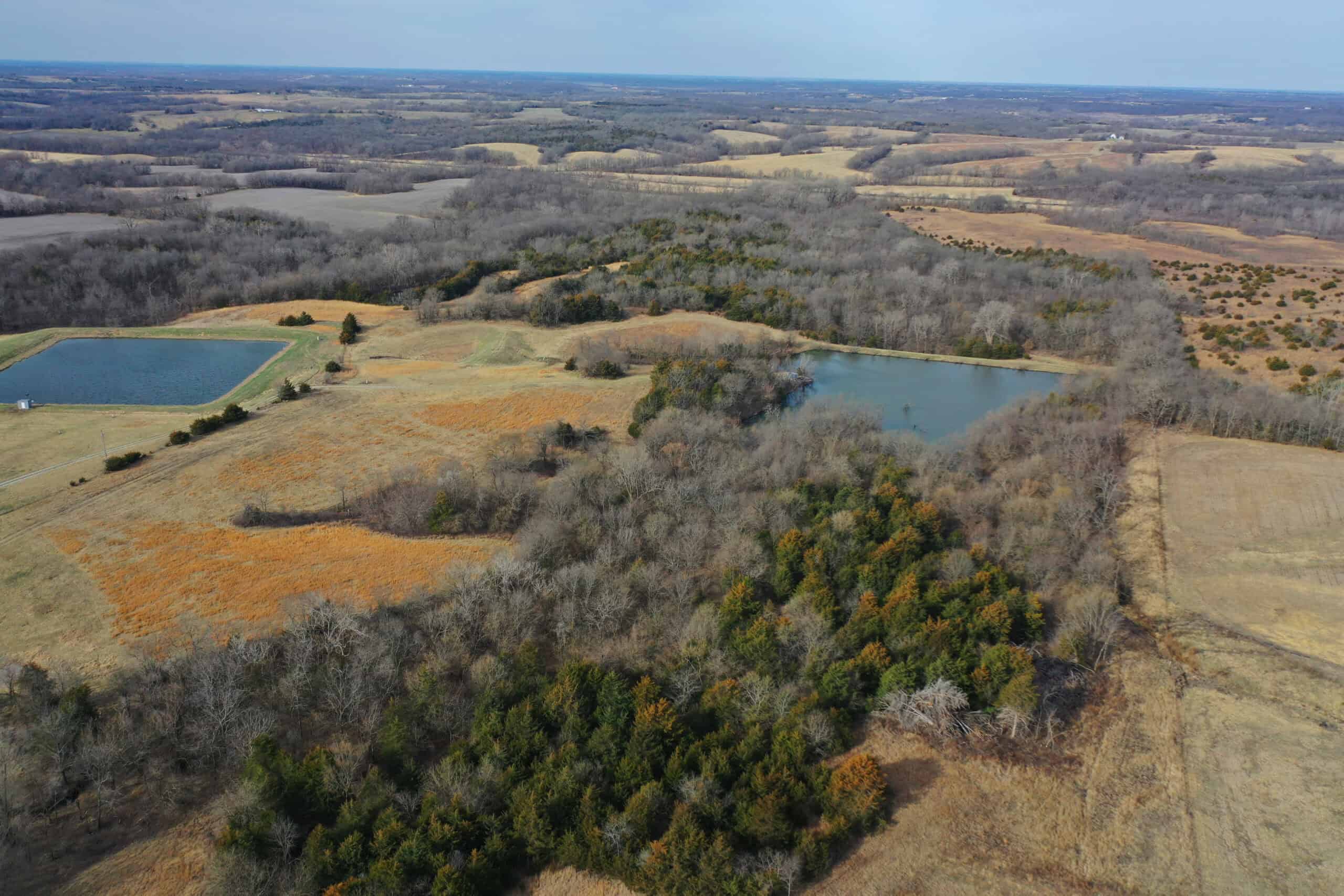 Hunting Land With Income – Mercer County, Missouri