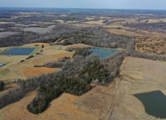 Hunting Land With Income – Mercer County, Missouri