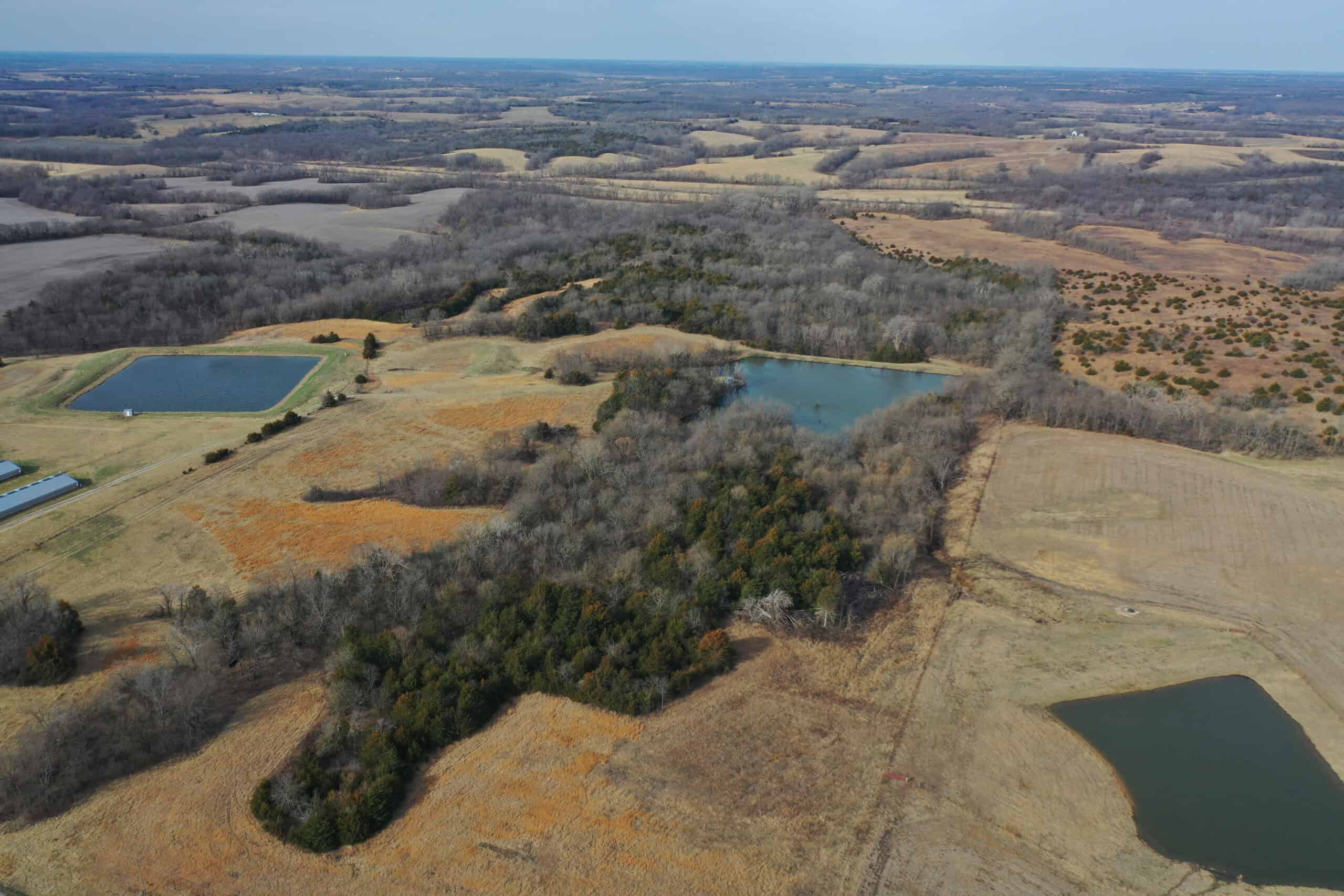 Hunting Land With Income – Mercer County, Missouri