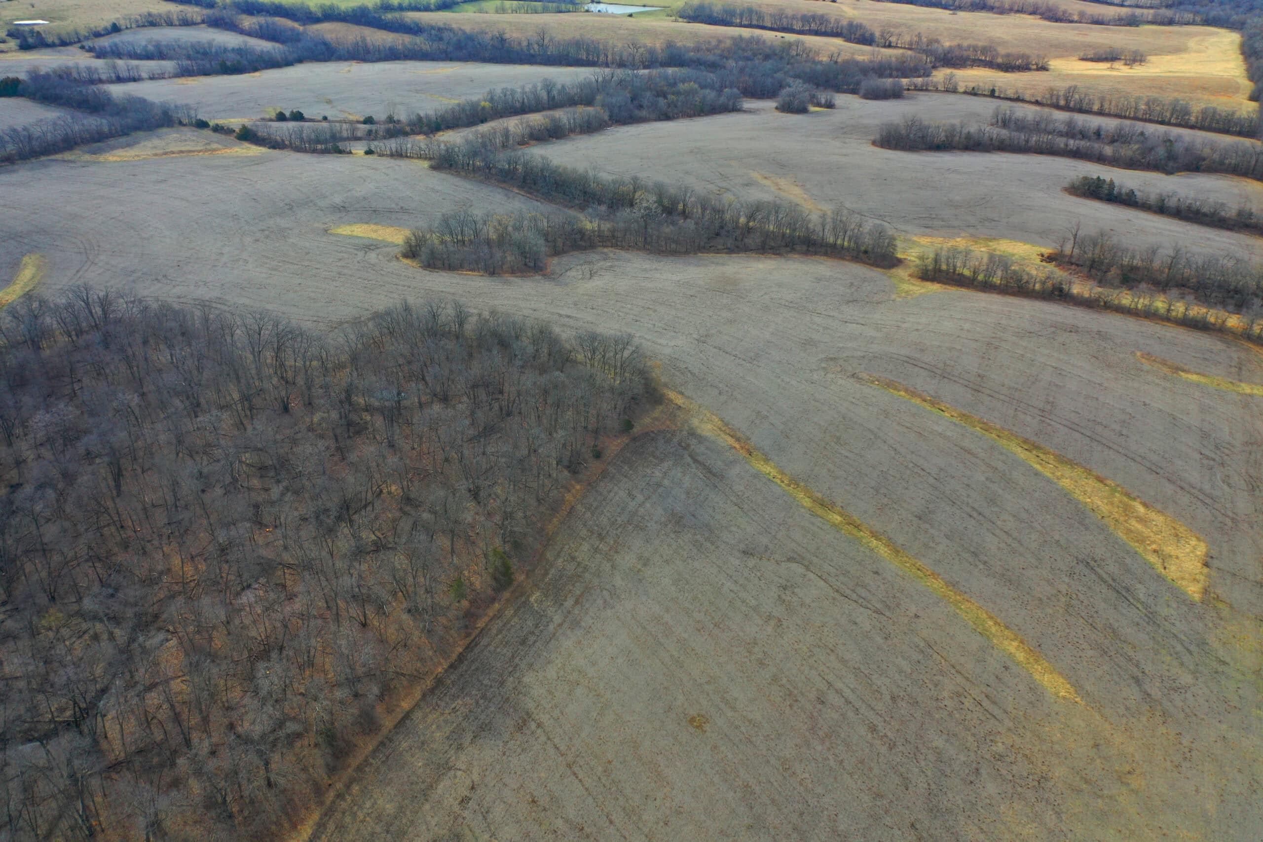 Hunting Land With Income – Mercer County, Missouri