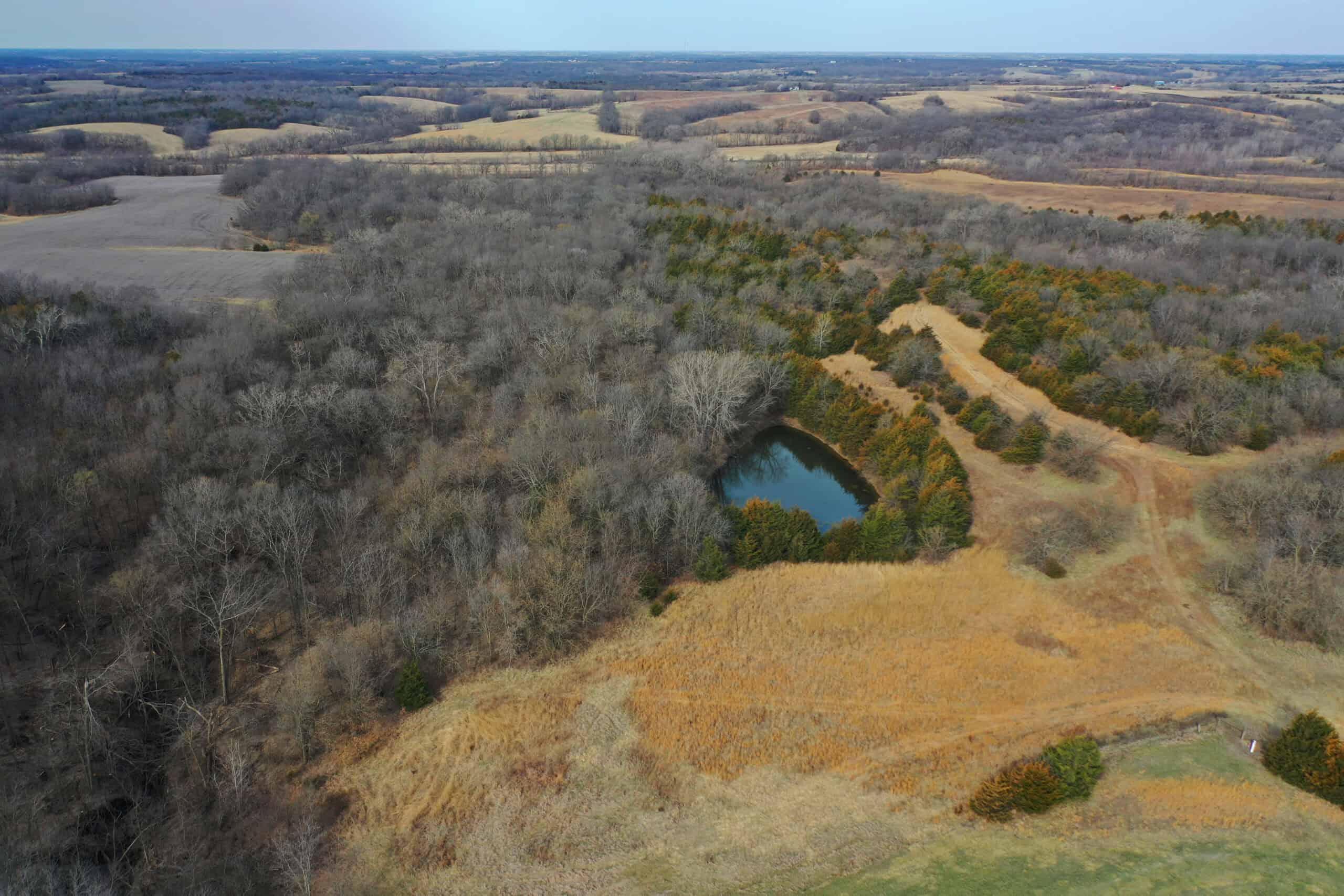 Hunting Land With Income – Mercer County, Missouri
