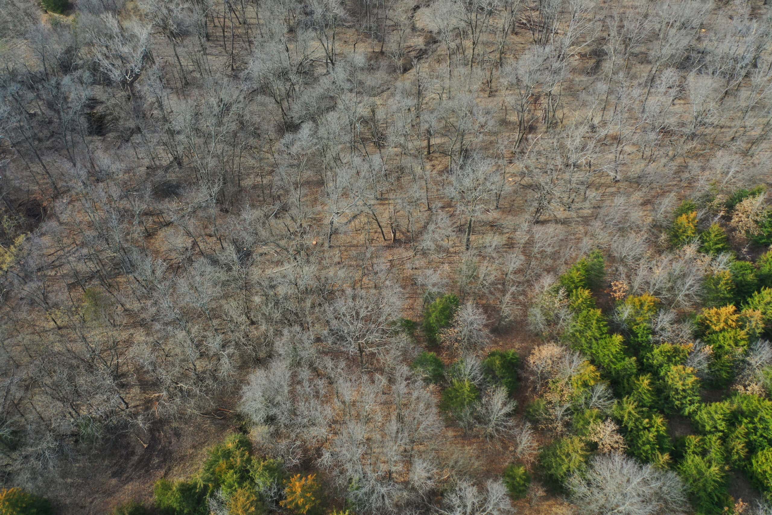 Hunting Land With Income – Mercer County, Missouri