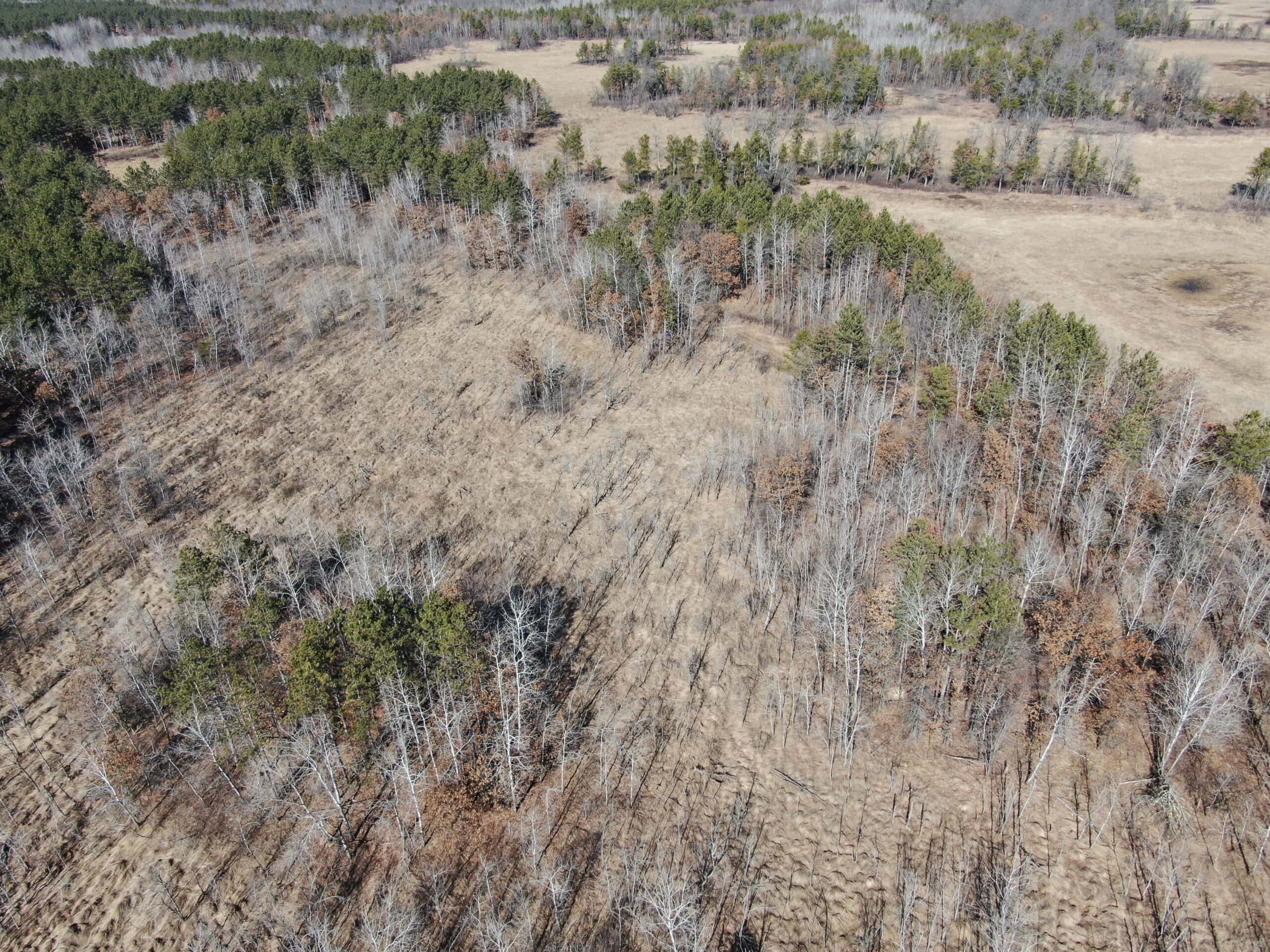 Juneau County WI 200-Acre Tract of Land