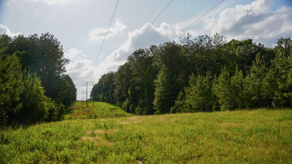 South Mississippi Hunting Paradise for Sale Amite County,MS