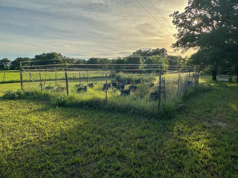 32-Acre Live Water Property with Leon River Frontage in Gatesville, TX
