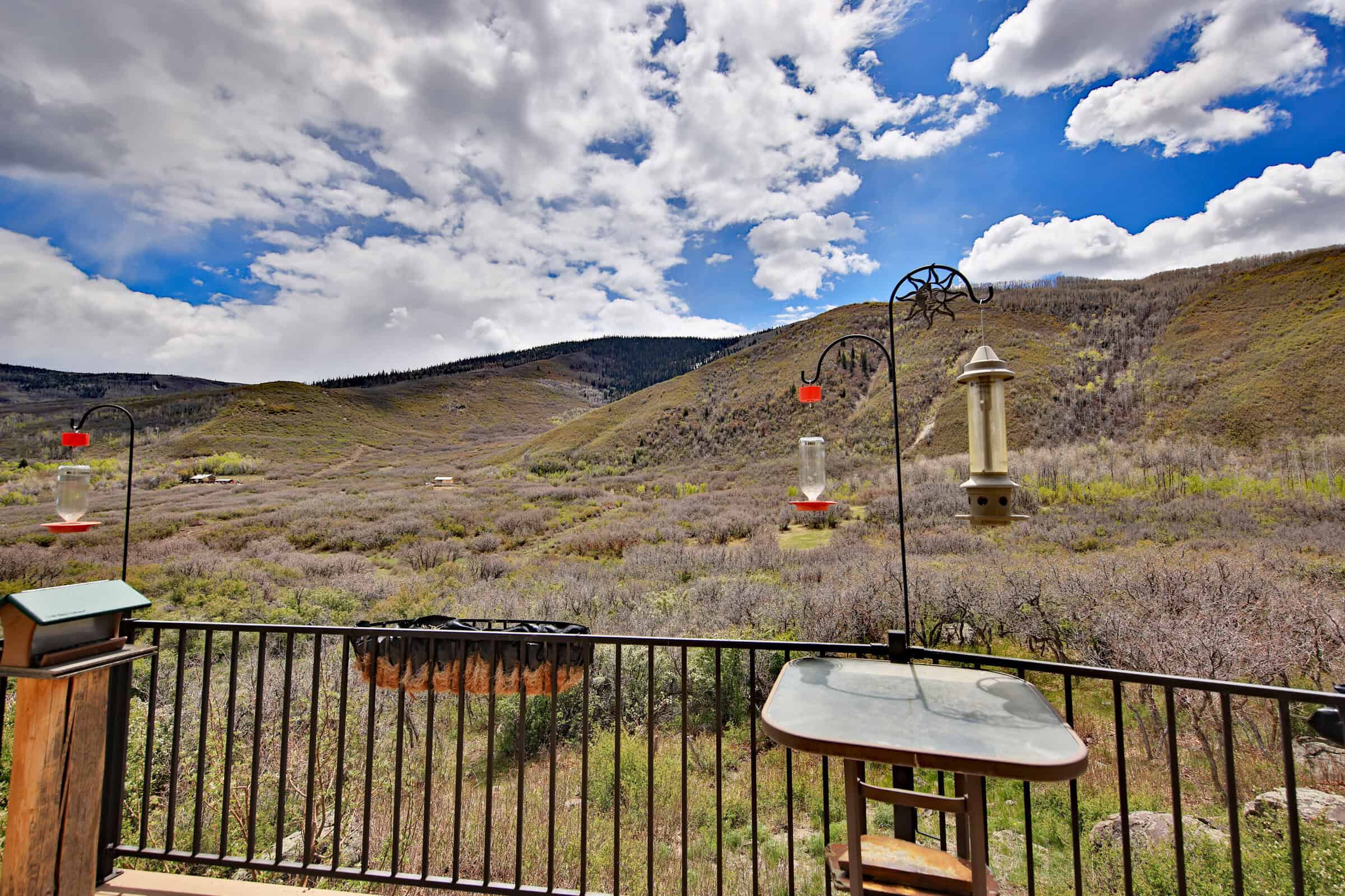 Mountain Home For Sale on the Western Slope of Colorado