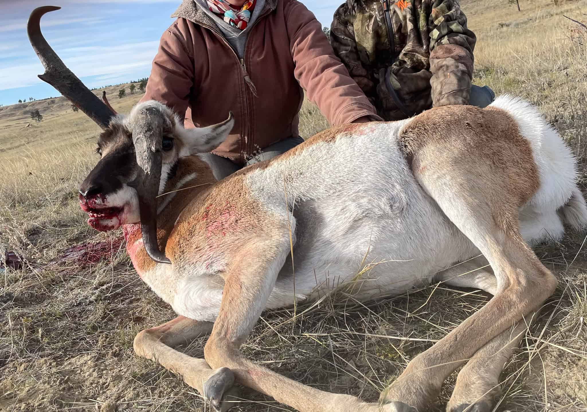 Scenic Montana Ranch with Elk, Deer & Trout Fishing
