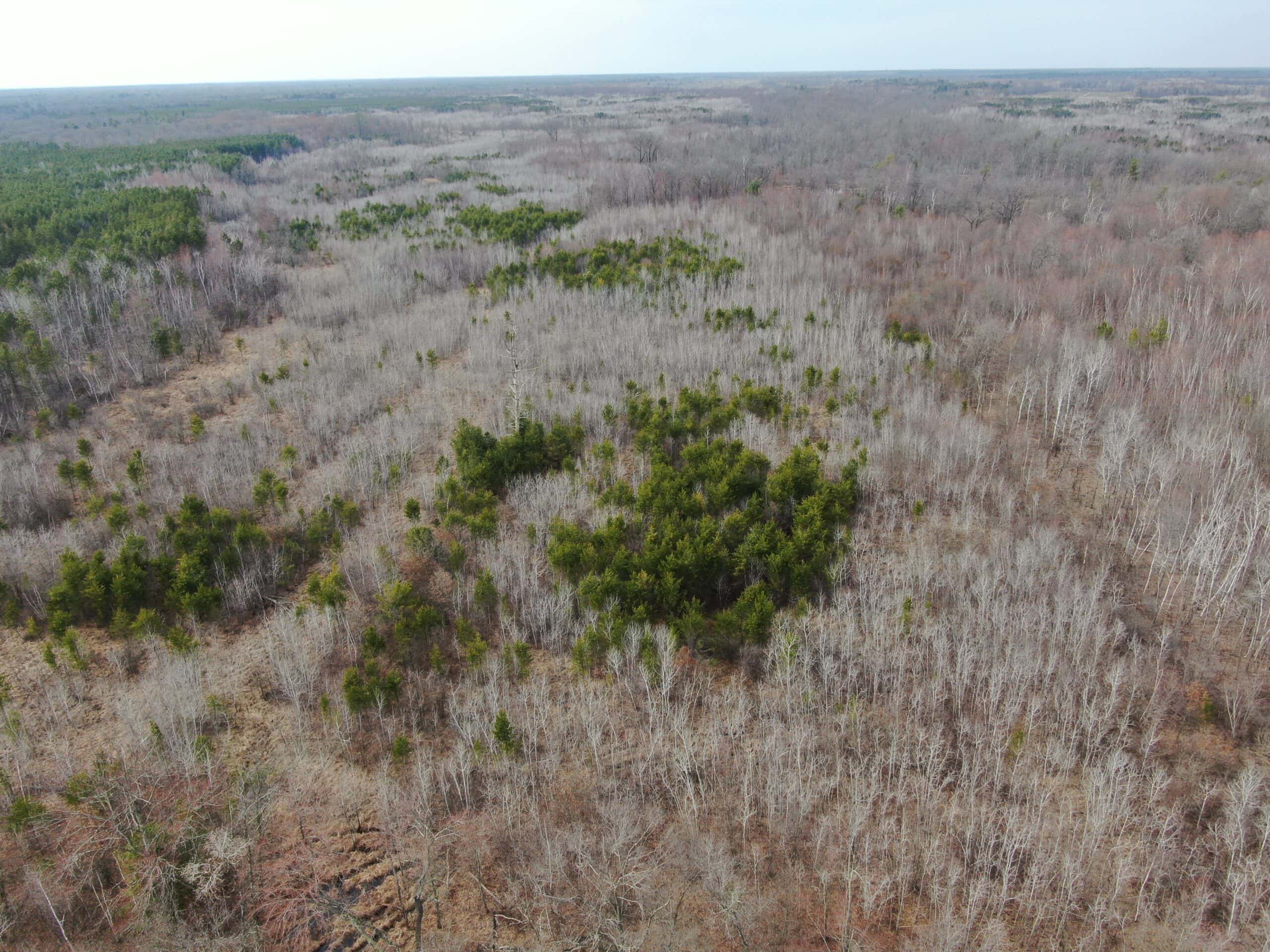 Juneau County WI 360 Acre Outdoor Paradise