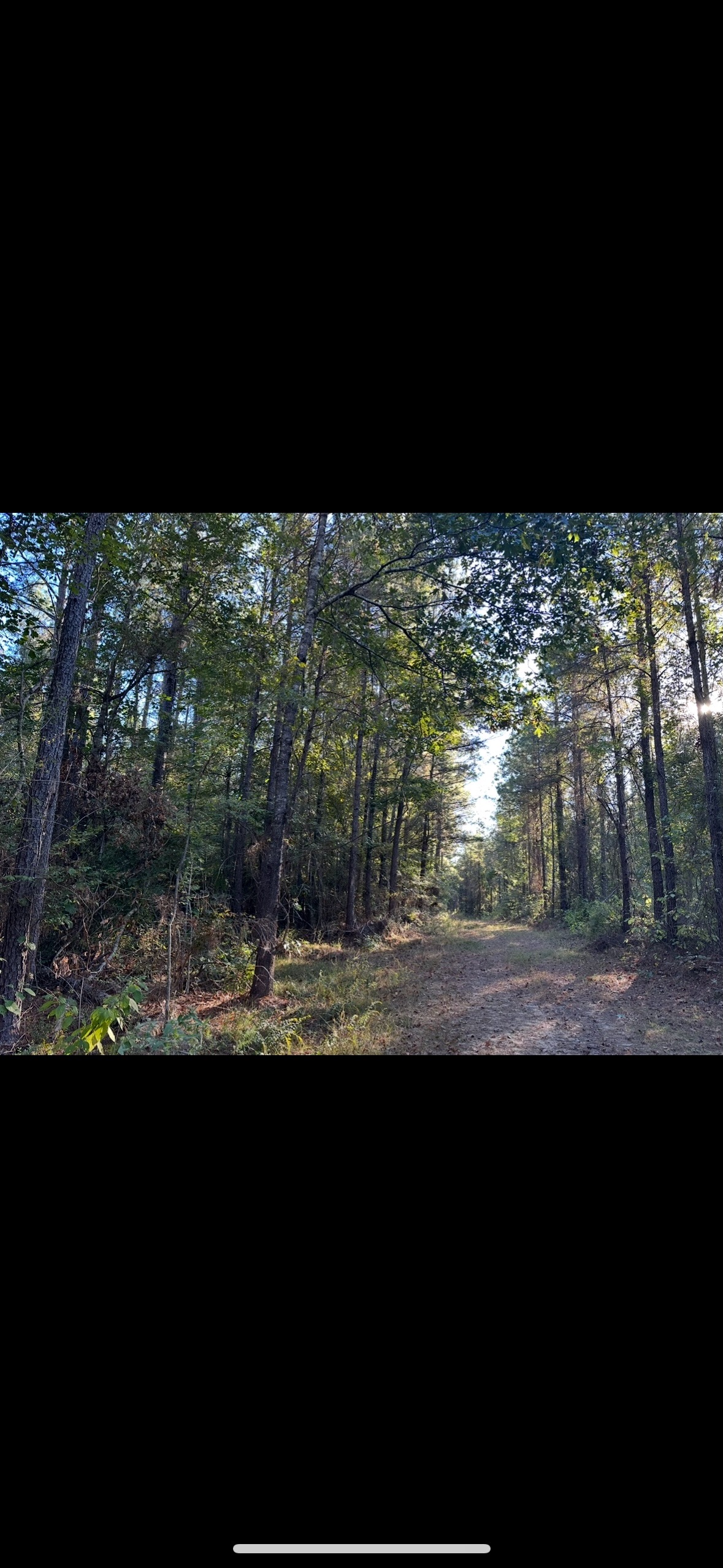 Riverfront Hunting Property with a Private Lake