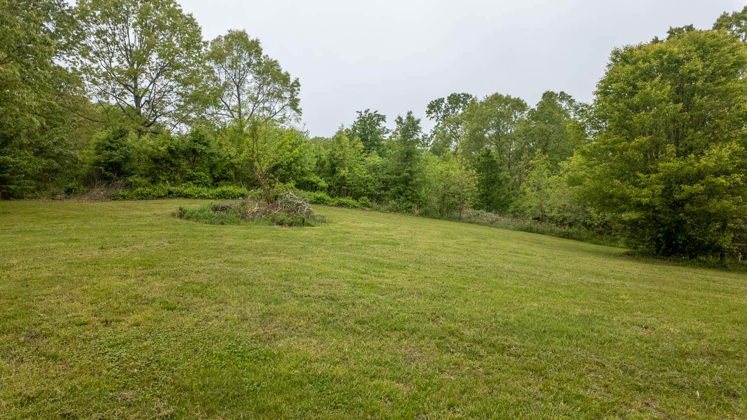35 Acres and Home for sale in Oregon County