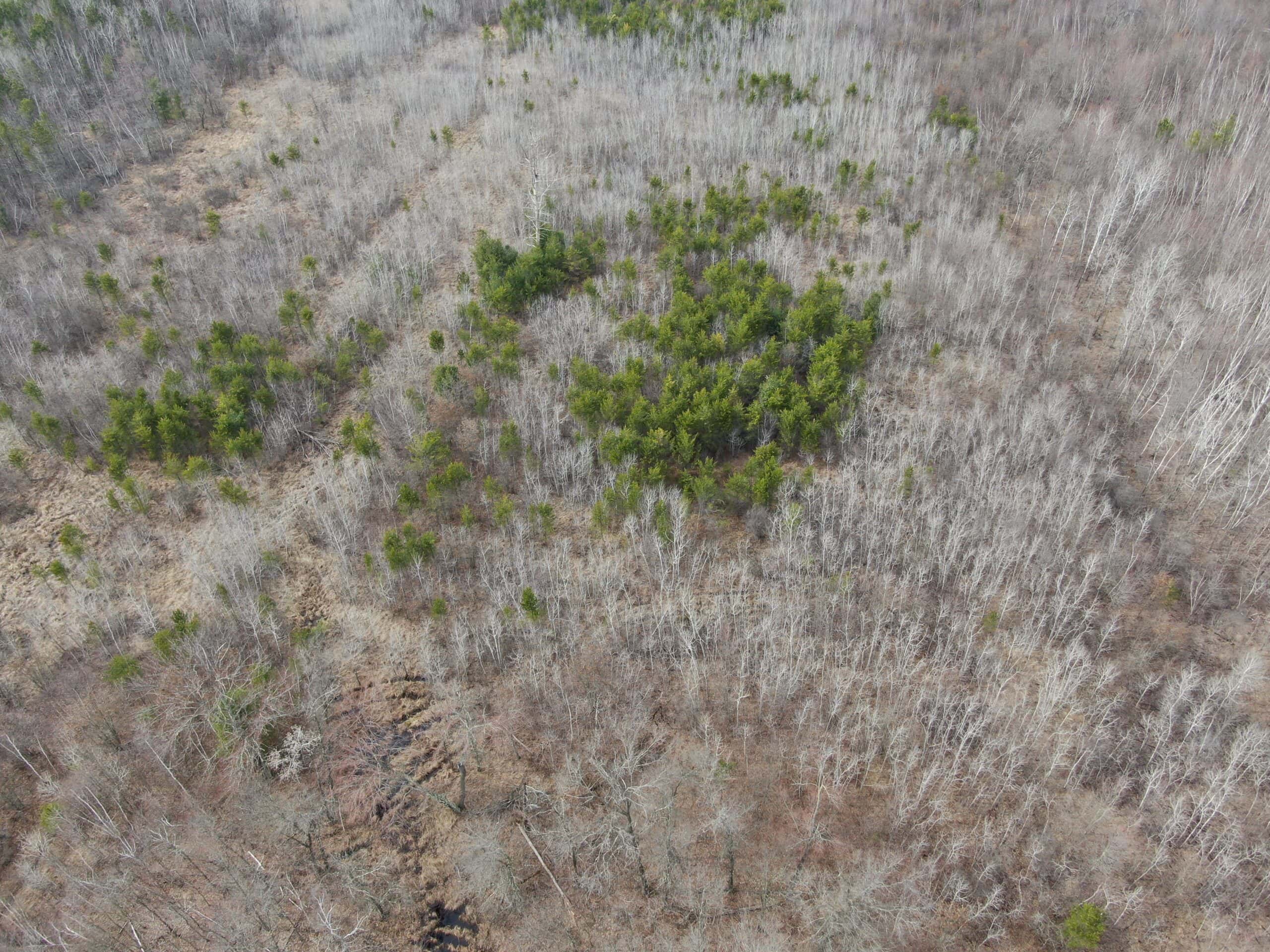 Juneau County WI 360 Acre Outdoor Paradise