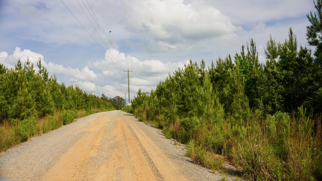 South Mississippi Hunting Paradise for Sale Amite County,MS