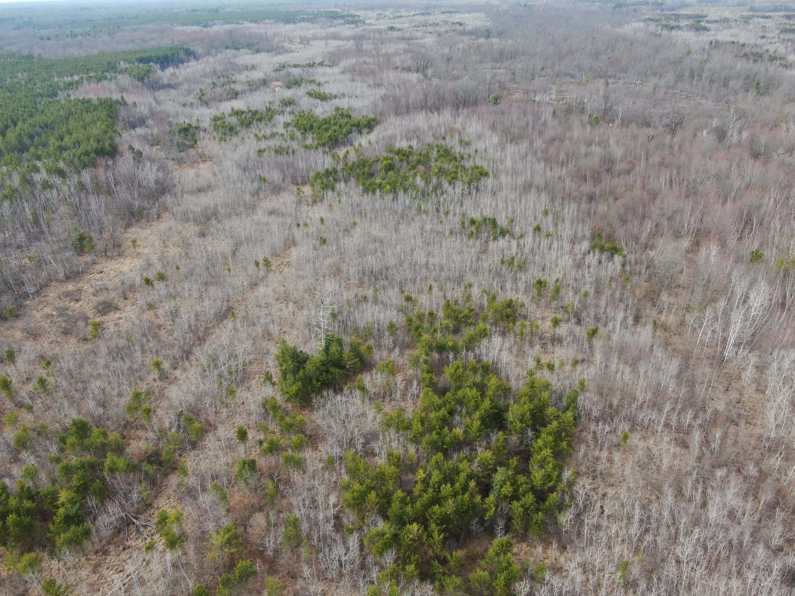 Juneau County WI 360 Acre Outdoor Paradise