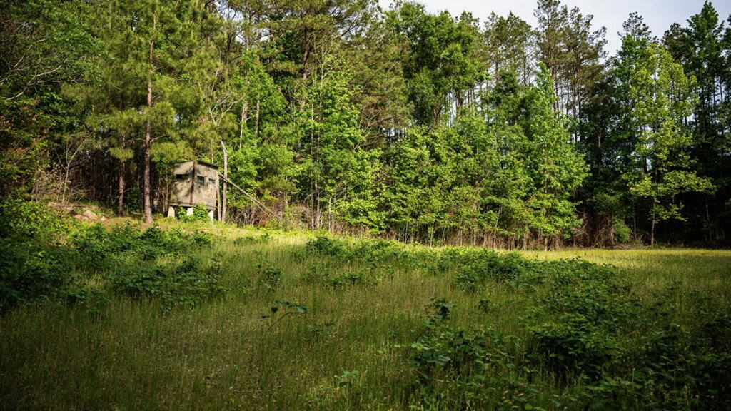 586 Hunting Land in the Catahoula Hills with Creek