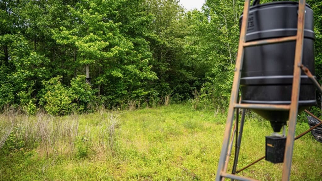 Hunting Land for Sale Morehouse Parish, LA