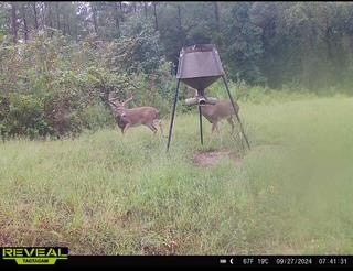 Turnkey Pike County, MS 70 Acres Hunting Property