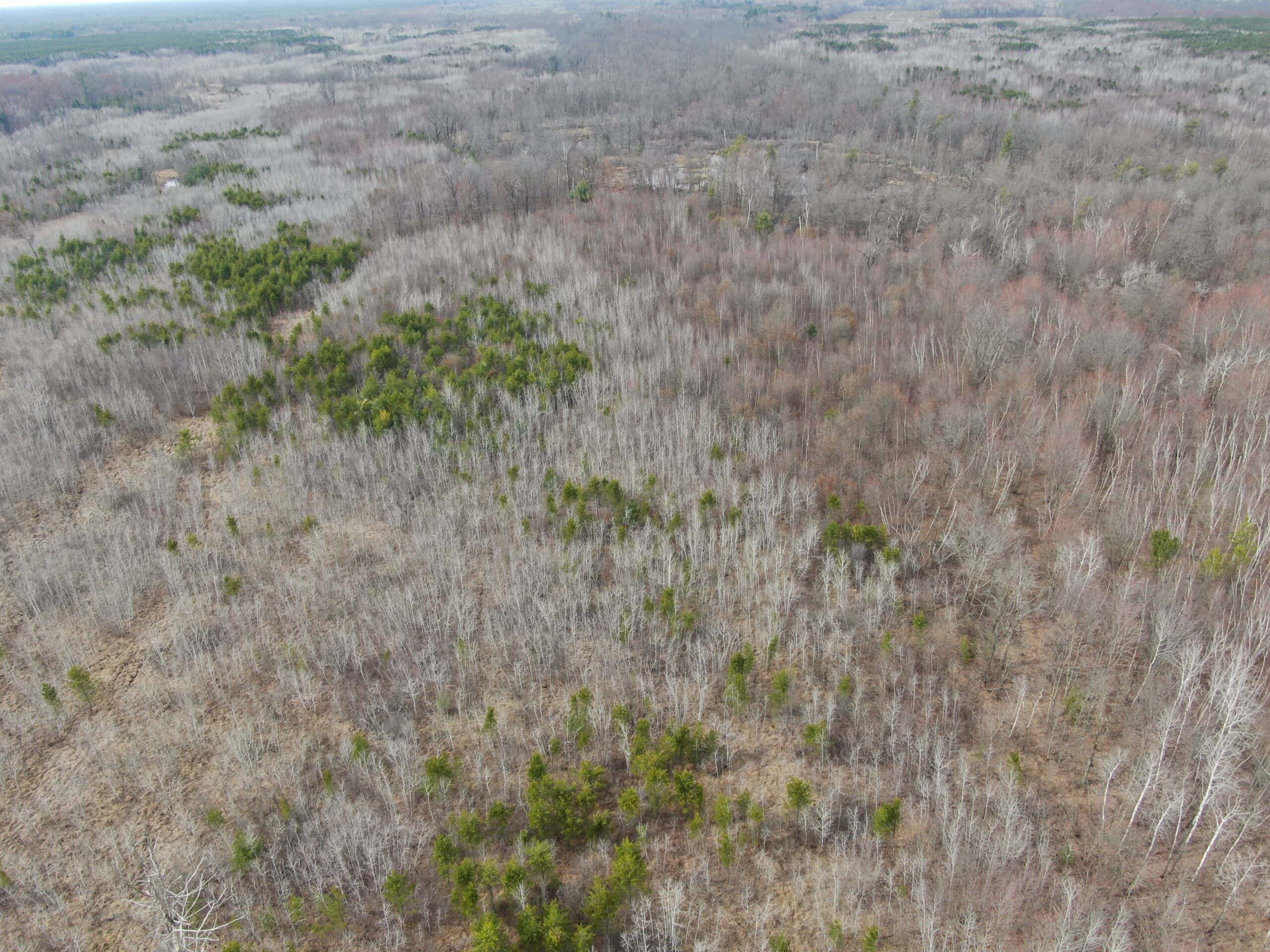 Juneau County WI 360 Acre Outdoor Paradise