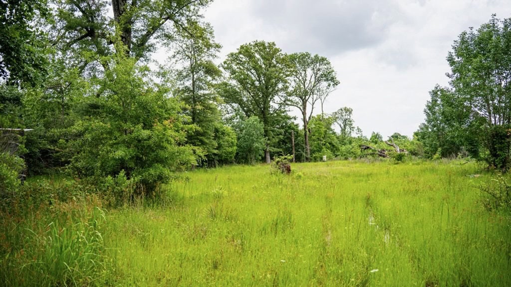 Hunting Land for Sale Morehouse Parish, LA