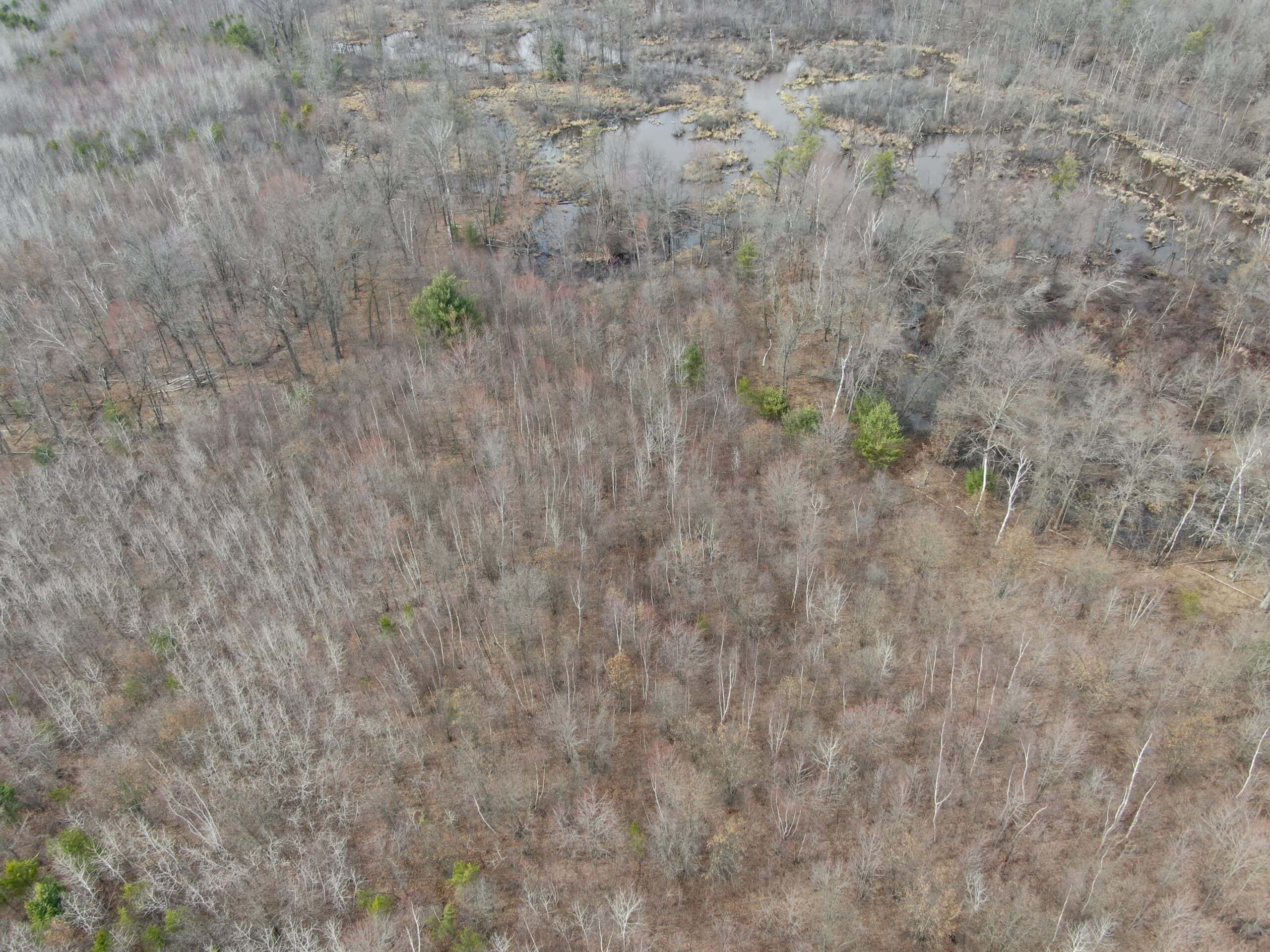 Juneau County WI 360 Acre Outdoor Paradise