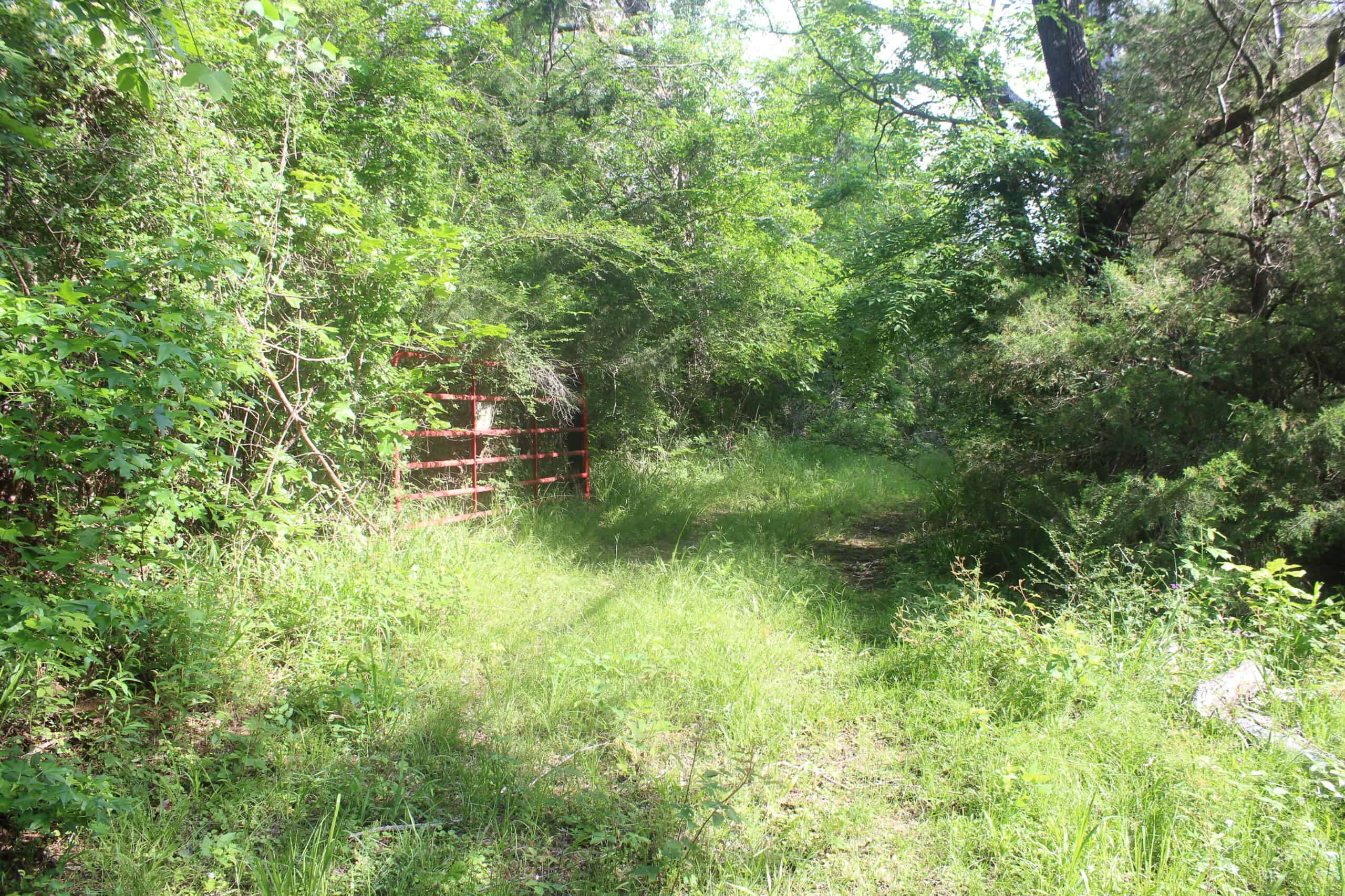 38.9 Acres of Hunting Land Lincoln County Mississippi