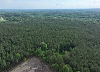 38.9 Acres of Hunting Land Lincoln County Mississippi