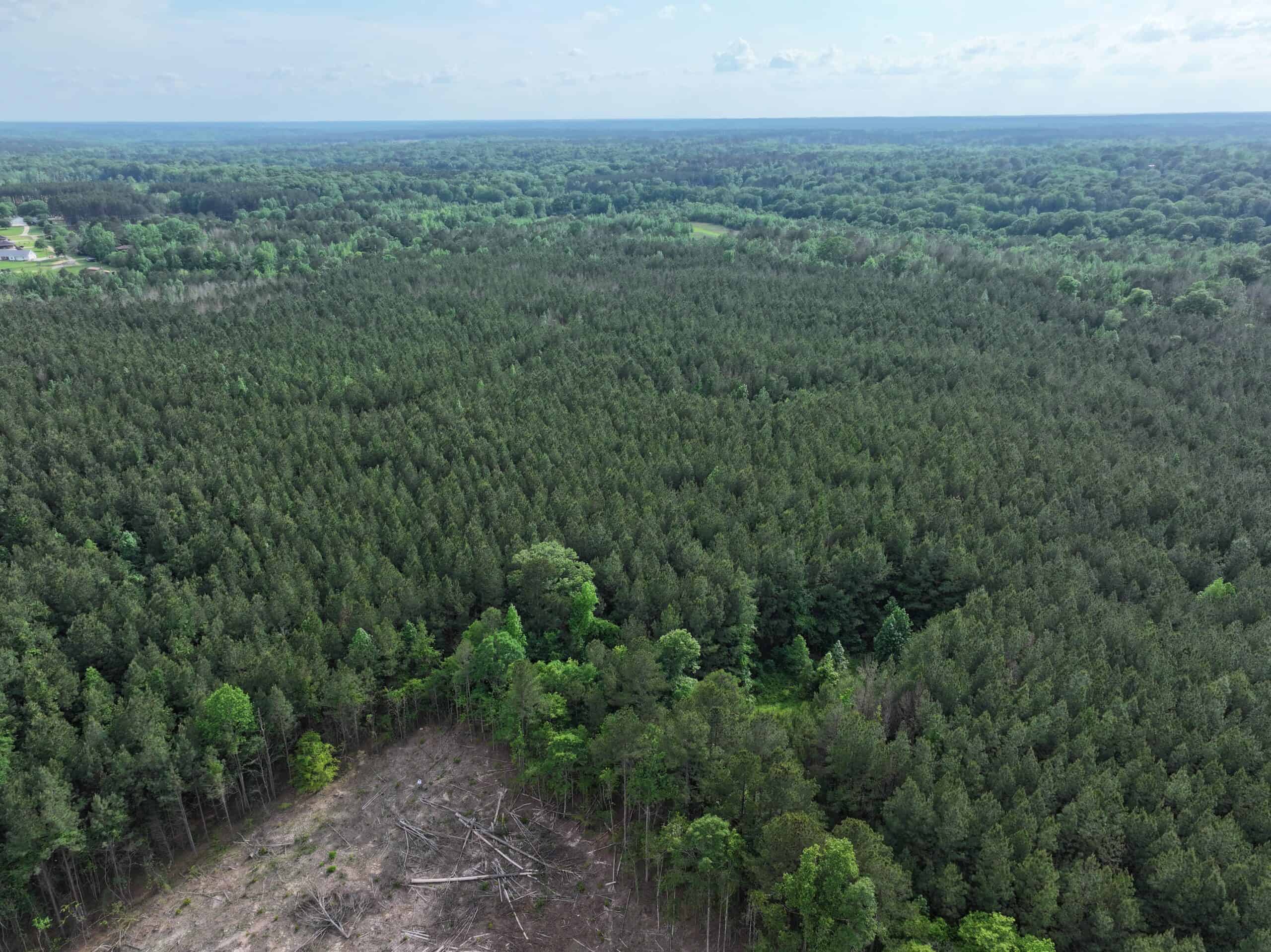 38.9 Acres of Hunting Land Lincoln County Mississippi