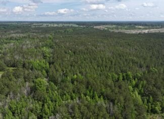 38.9 Acres of Hunting Land Lincoln County Mississippi