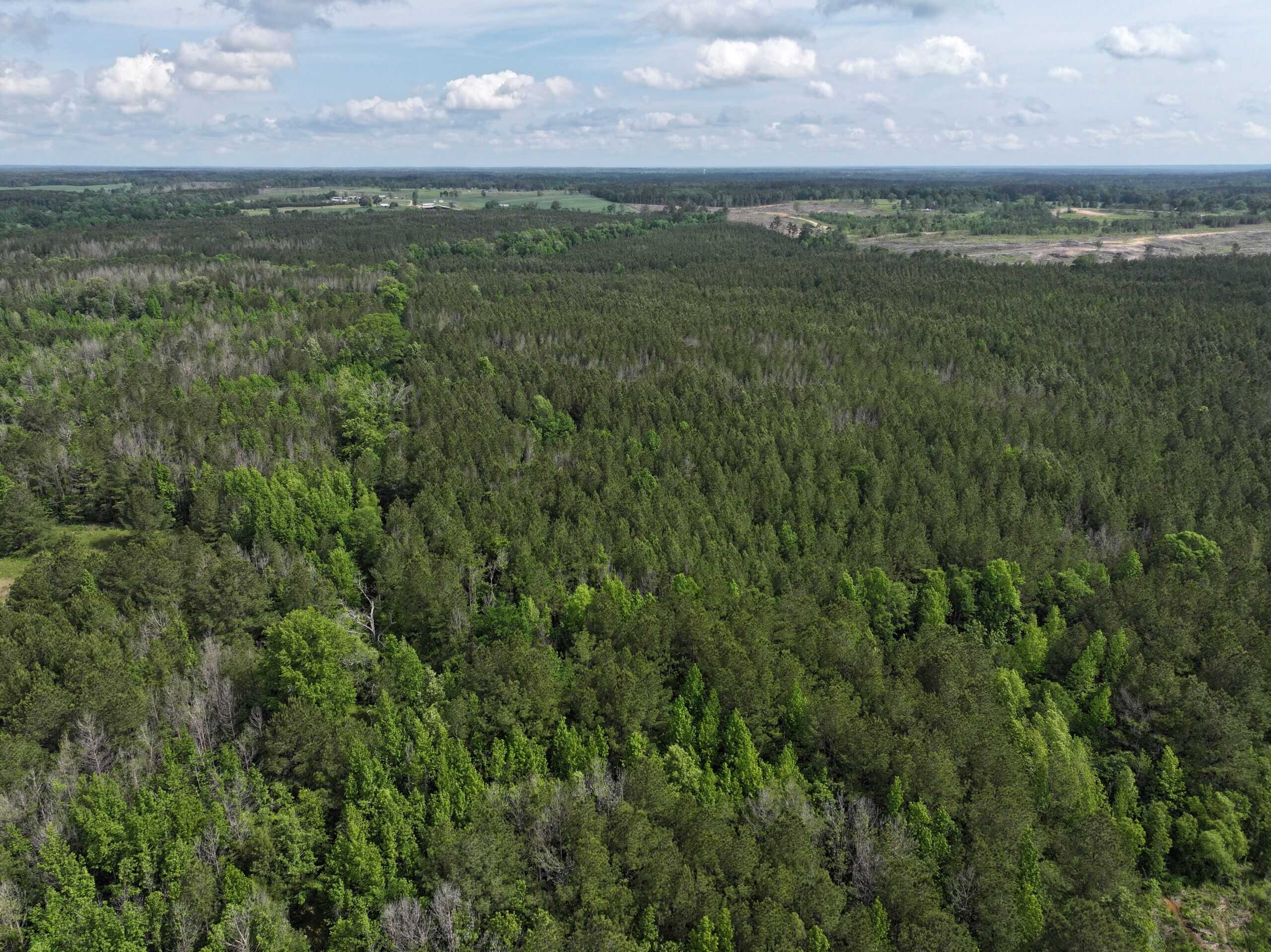 38.9 Acres of Hunting Land Lincoln County Mississippi