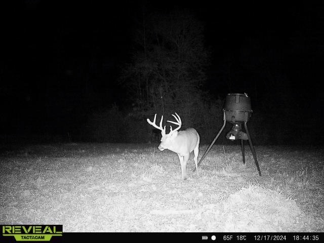 Turnkey Pike County, MS 70 Acres Hunting Property