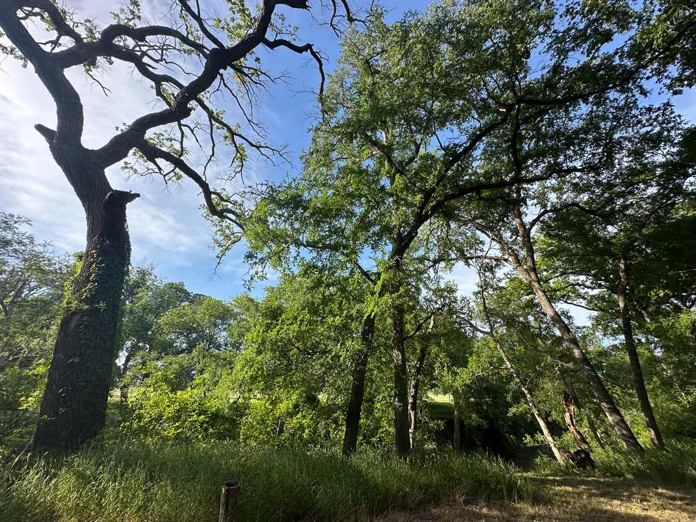 32-Acre Live Water Property with Leon River Frontage in Gatesville, TX
