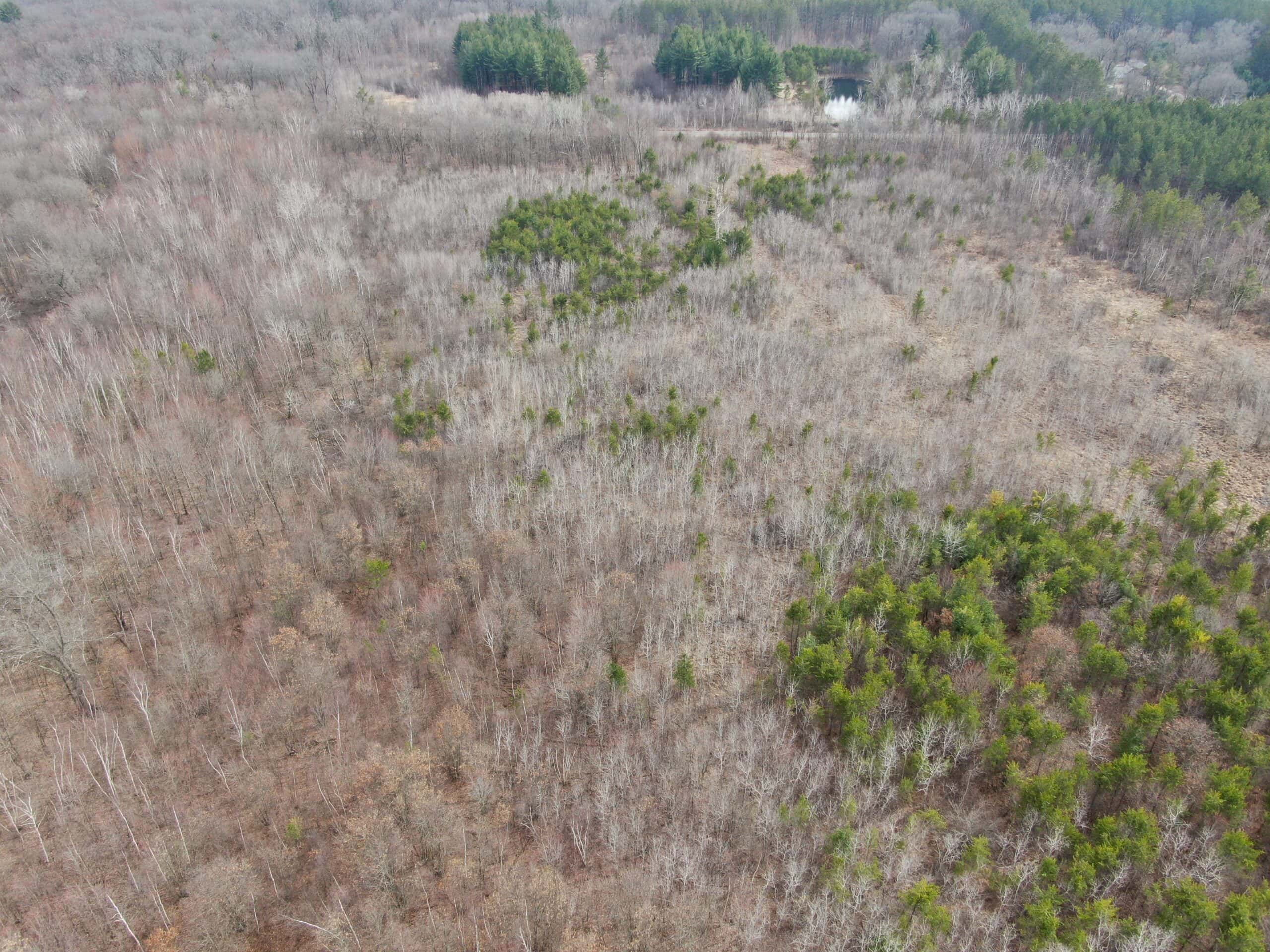 Juneau County WI 360 Acre Outdoor Paradise