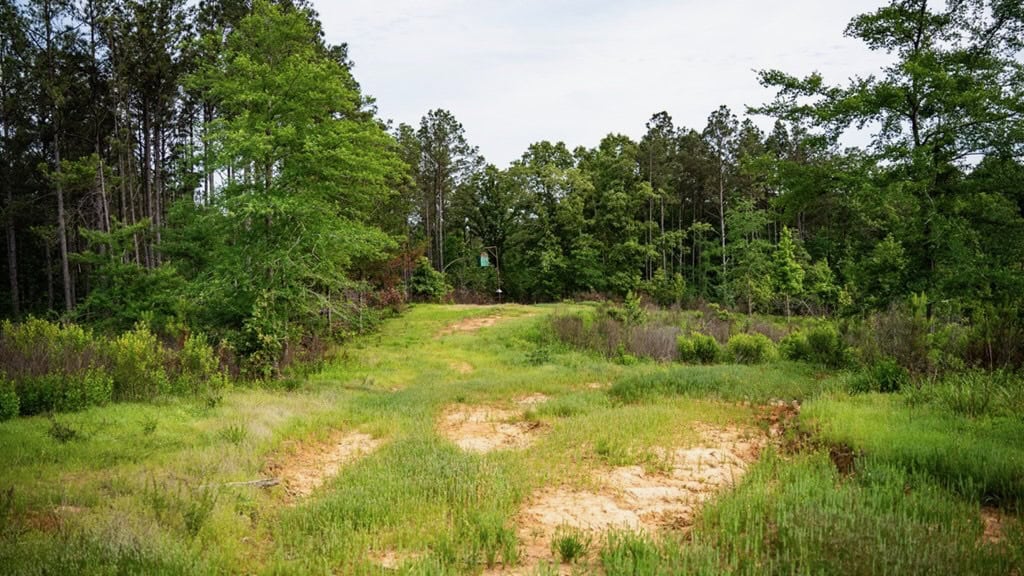 586 Hunting Land in the Catahoula Hills with Creek