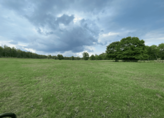 Secluded 100 Acre Mol Ranch in McCurtain County OK