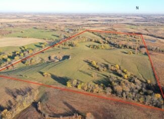 80 ± Acre Northern Parcel Farmland for Sale in Blockton, IA