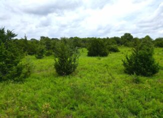 Acreage For Sale in Bryan County, Oklahoma!