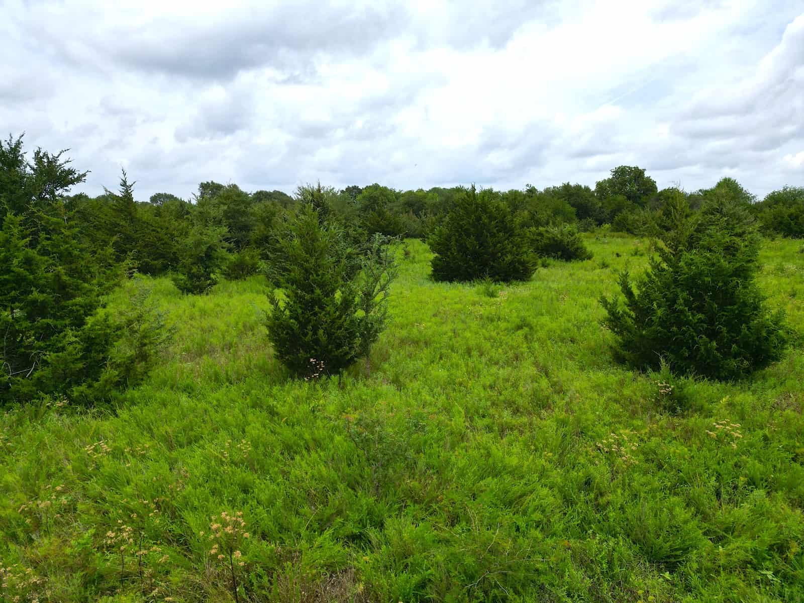 Acreage For Sale in Bryan County, Oklahoma!
