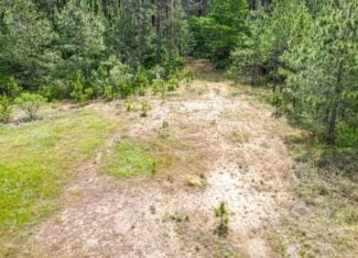 Homochitto Natl Forest Hunting Property Wilkinson Co, MS