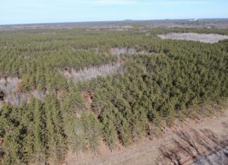 Juneau County WI 200-Acre Tract of Land