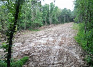 51 Acres of Hunting Land for Sale in Roxie, Mississippi