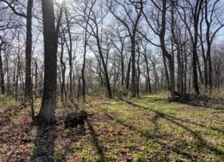 Premium 32+/- Acre Parcel in La Crosse County WI