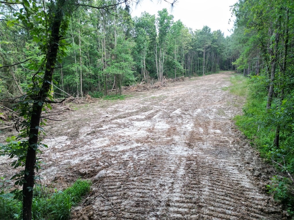51 Acres of Hunting Land for Sale in Roxie, Mississippi